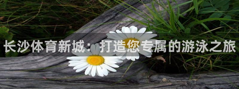 耀世平台乙六七五一38：长沙体育新城：打造您专属的游