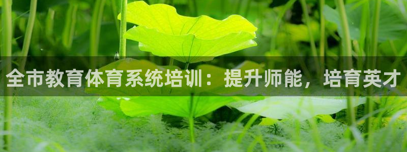 耀世平台佳 5O6917 耀世：全市教育体育系统培训