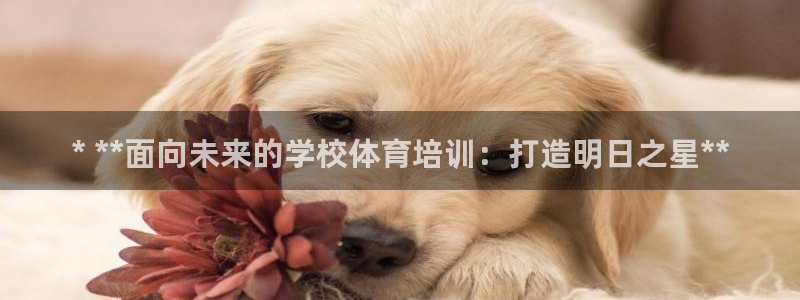 耀世平台注册网址是多少啊：* **面向未来的学校体育