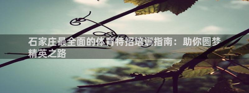 耀世平台注册链接怎么弄：石家庄最全面的体育特招培训指