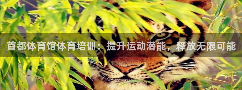 耀世金生产品介绍：首都体育馆体育培训：提升运动潜能，