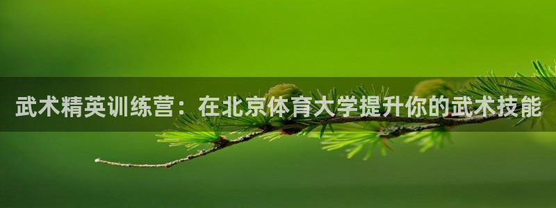 耀世娱乐如何登录平台账户：武术精英训练营：在北京体育