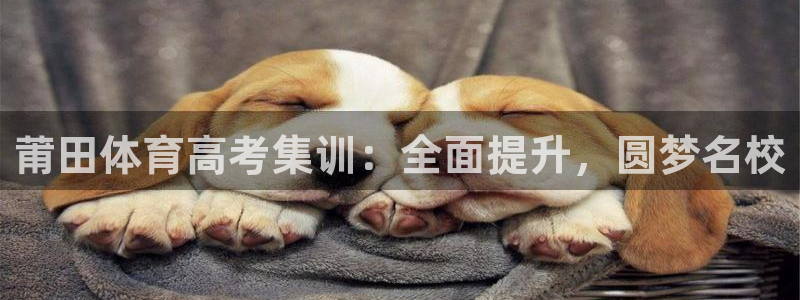 耀世娱乐含山：莆田体育高考集训：全面提升，圆梦名校
