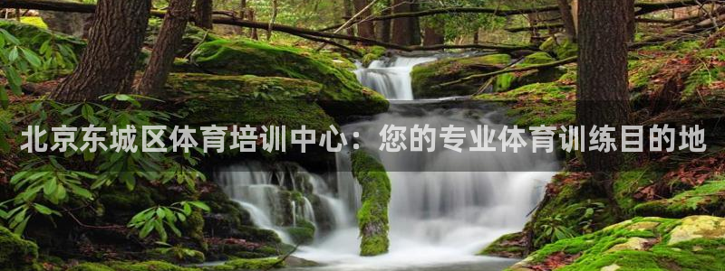 耀世微光曲谱：北京东城区体育培训中心：您的专业体育训