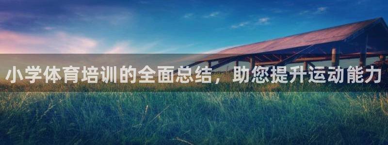 耀世娱乐是不是很黑的：小学体育培训的全面总结，助您提