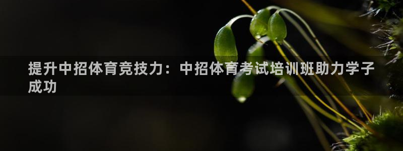 耀世娱乐然 37OO735：提升中招体育竞技力：中招