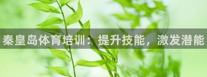 耀世娱乐老板：秦皇岛体育培训：提升技能，激发潜能