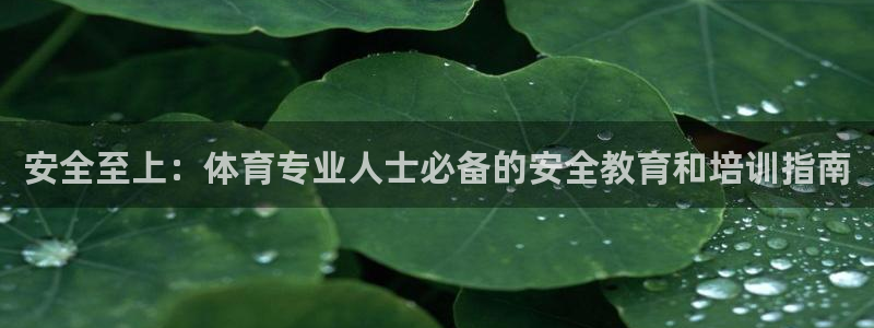 耀世国际平台正规吗可信吗：安全至上：体育专业人士必备