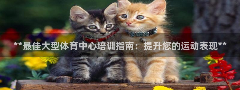 耀世娱乐是玛雅旗下的吗知乎：**最佳大型体育中心培训