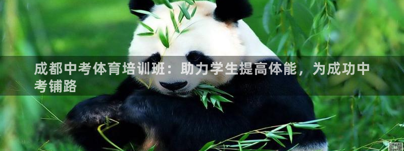 耀世意思：成都中考体育培训班：助力学生提高体能，为成