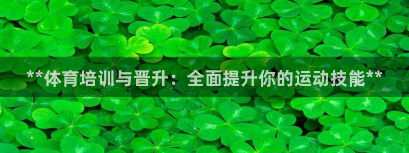 耀世平台代理怎么样啊：**体育培训与晋升：全面提升你