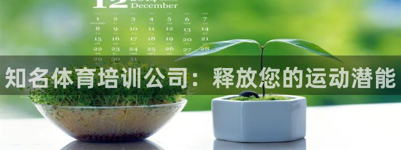 耀世平台有很多登录地址怎么回事：知名体育培训公司：释