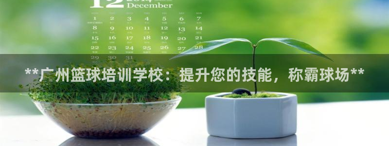 耀世平台注册开户流程：**广州篮球培训学校：提升您的