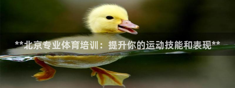 耀世平台物7O777：**北京专业体育培训：提升你的