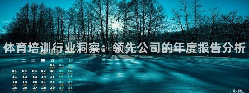耀世娱乐登陆官网入口：体育培训行业洞察：领先公司的年