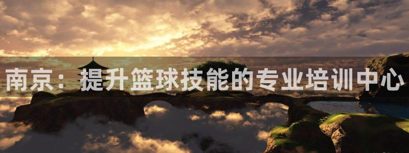 耀世平台的运营模式有哪些：南京：提升篮球技能的专业培