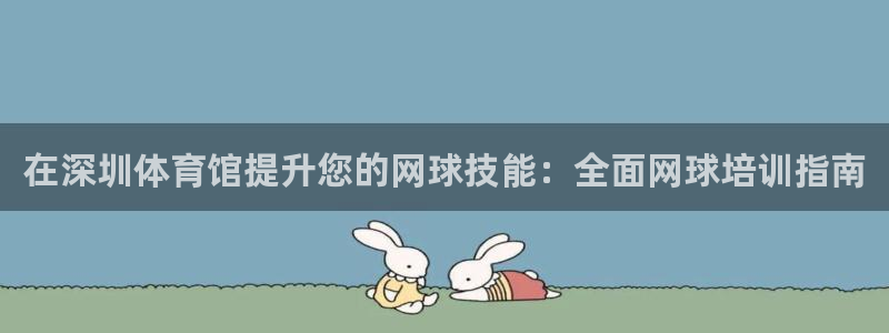 耀世集团北京快三是真的吗：在深圳体育馆提升您的网球技