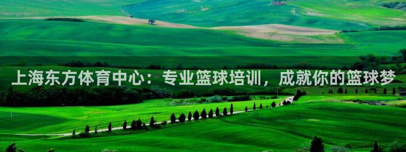 耀世而生什么意思：上海东方体育中心：专业篮球培训，成