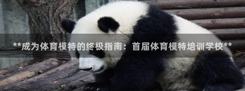 耀世娱乐：**成为体育模特的终极指南：首届体育模特培