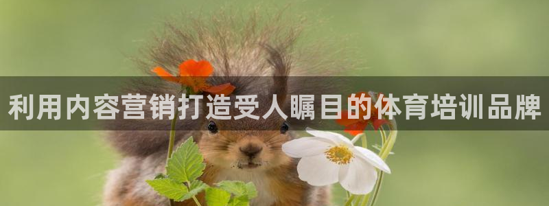 耀世集团商业联盟官网：利用内容营销打造受人瞩目的体育