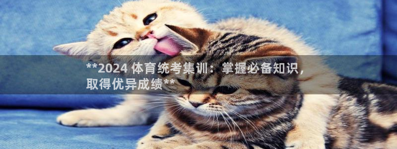 耀世平台皮皮虾怎么样：**2024 体育统考集训：掌