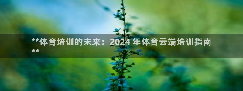 耀世平台代理多少钱一次：**体育培训的未来：2024
