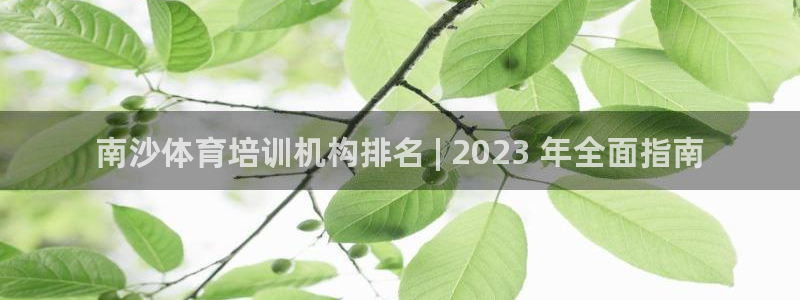 耀世娱乐平台官网登录不了了：南沙体育培训机构排名 |