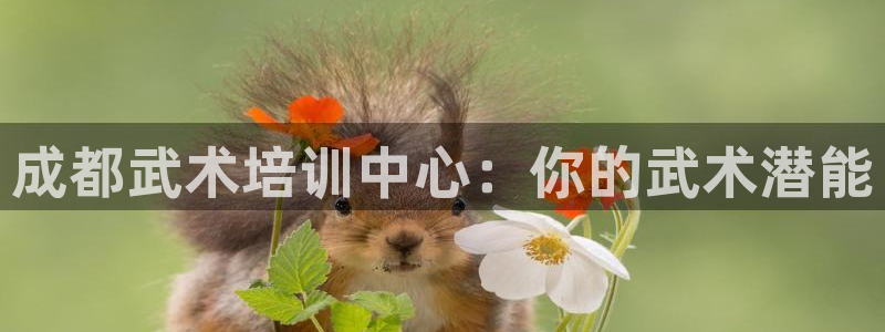 耀世平台开户流程是什么：成都武术培训中心：你的武术潜