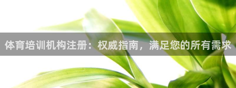 耀世和耀至的区别：体育培训机构注册：权威指南，满足您