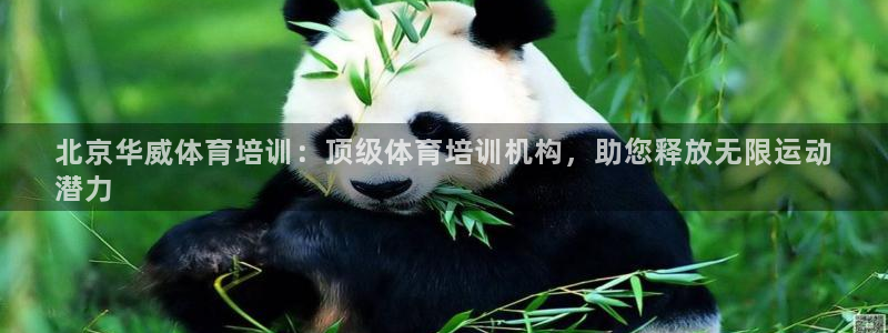 耀世平台合作 585341：北京华威体育培训：顶级体