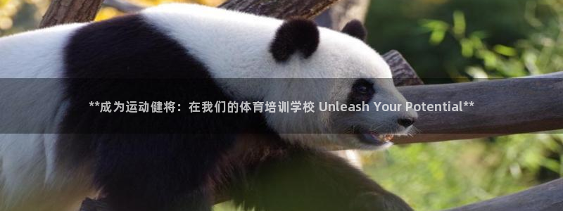 耀世平台最新注册地址：**成为运动健将：在我们的体育