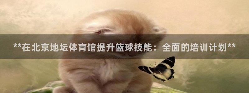 六星耀世什么意思：**在北京地坛体育馆提升篮球技能：