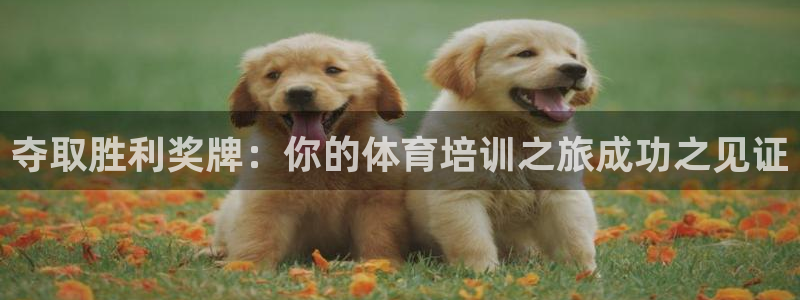 耀世国际集团董事长：夺取胜利奖牌：你的体育培训之旅成