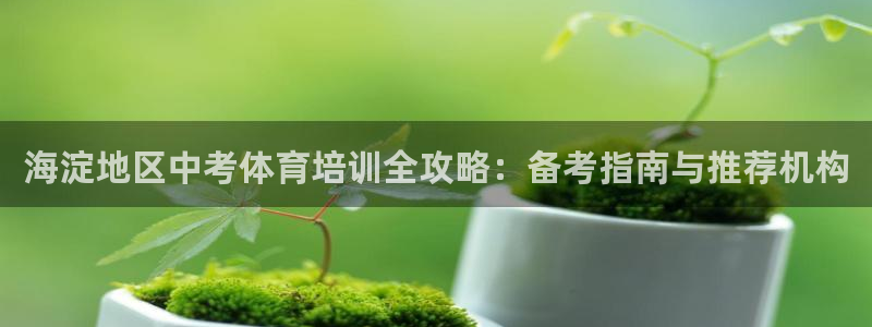 耀世娱乐脚本下载：海淀地区中考体育培训全攻略：备考指