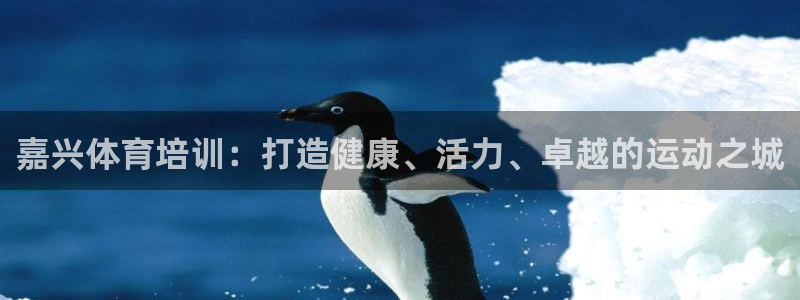 耀世平台是黑台子吗还是白台：嘉兴体育培训：打造健康、