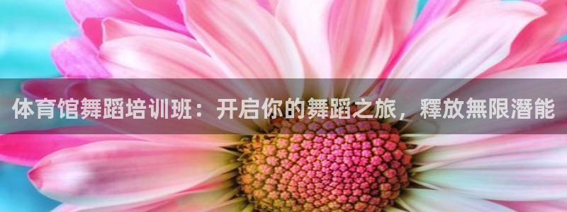 耀世平台找 5O6917 平台：体育馆舞蹈培训班：开