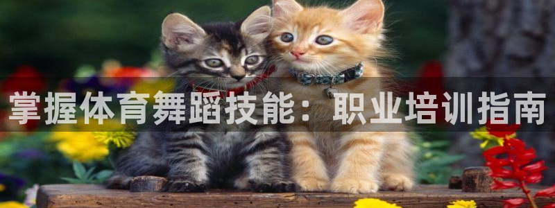 耀世娱乐脚本不死挂机：掌握体育舞蹈技能：职业培训指南