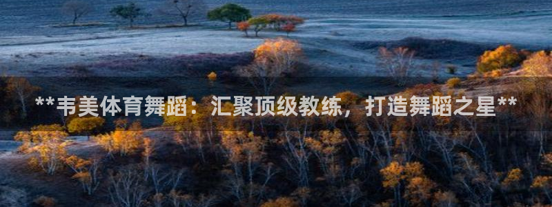 耀世来袭：**韦美体育舞蹈：汇聚顶级教练，打造舞蹈之