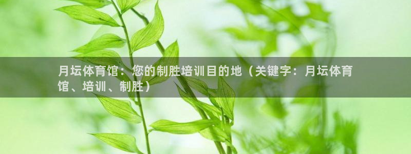 耀世娱乐网站官网：月坛体育馆：您的制胜培训目的地（关