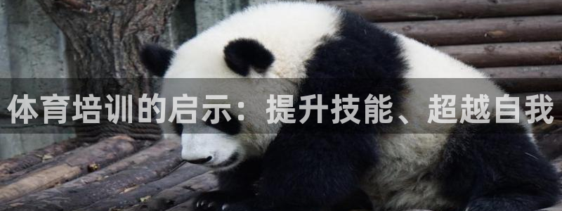 耀世天下网名好吗：体育培训的启示：提升技能、超越自我