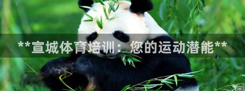 耀世平台关7O777：**宣城体育培训：您的运动潜能
