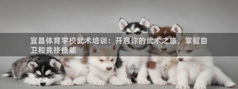 耀世登场之类的广告词：宜昌体育学校武术培训：开启你的