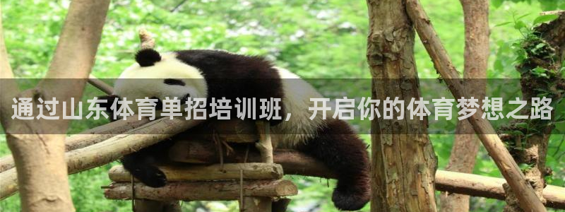 耀世平台产7O777：通过山东体育单招培训班，开启你