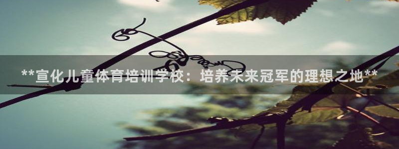 耀世集团视频直播怎么样：**宣化儿童体育培训学校：培