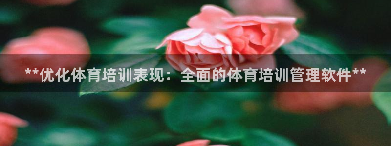耀世平台注册最新地址：**优化体育培训表现：全面的体