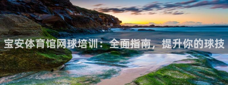 耀世来袭什么意思：宝安体育馆网球培训：全面指南，提升
