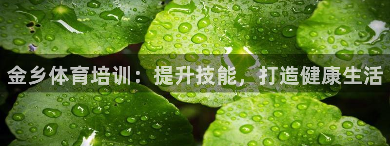 耀世娱乐登录地址在哪看：金乡体育培训：提升技能，打造