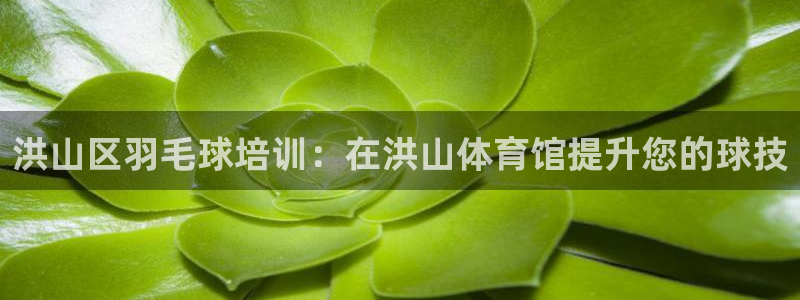 耀世娱乐注册账号：洪山区羽毛球培训：在洪山体育馆提升