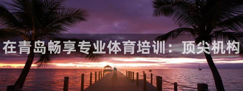 耀世集团商业联盟官网：在青岛畅享专业体育培训：顶尖机
