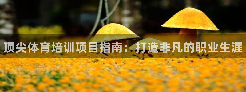 耀世平台注册开户流程：顶尖体育培训项目指南：打造非凡